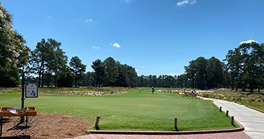 Spring Golf Primer CLick Here